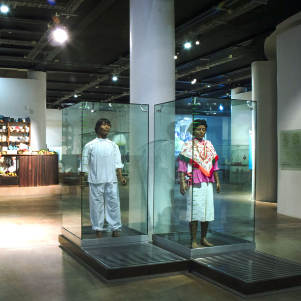 Museo de la Cultura de la Huasteca Potosina Tamuantzan